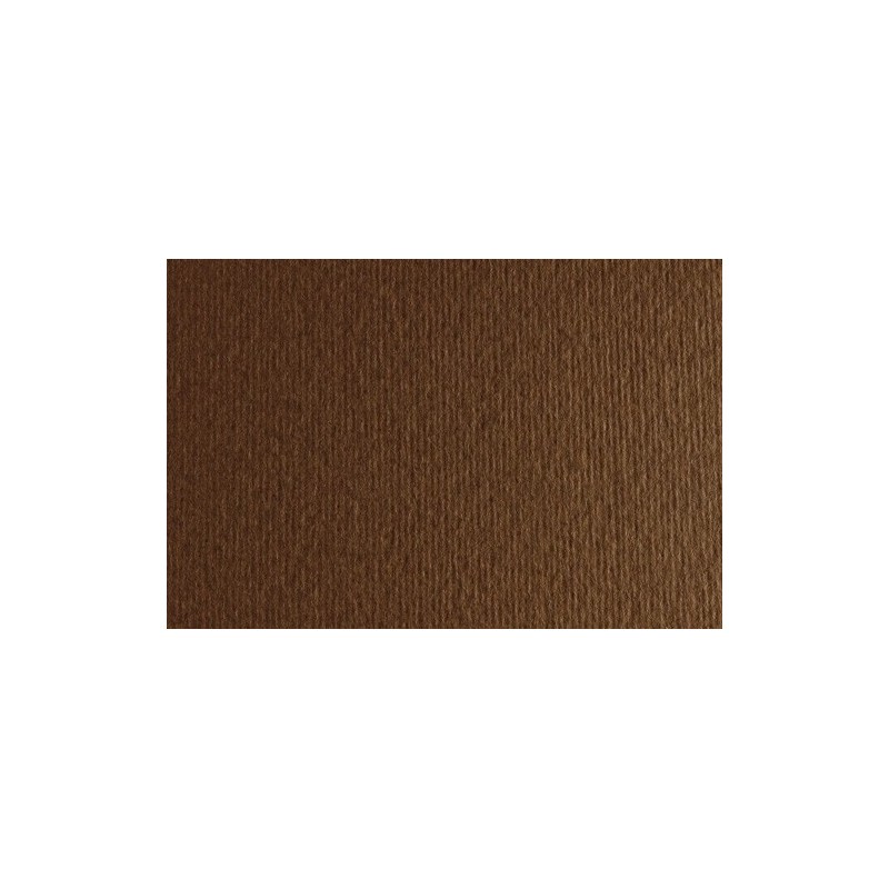 F42450706-CARTULINA 50x70 FABRI. 220g LR MARR. P/2 precio por 1 unidades