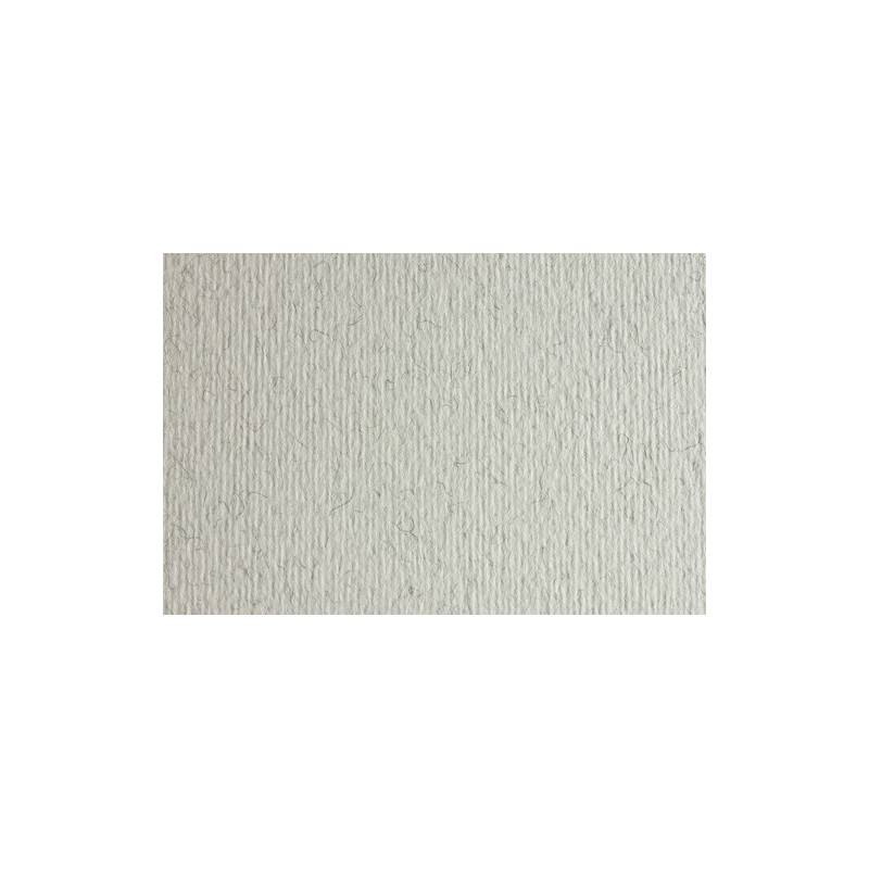 F42450729-CARTULINA 50x70 FABRI. 220g LR BRINA P/2 precio por 1 unidades