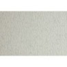 F42450729-CARTULINA 50x70 FABRI. 220g LR BRINA P/2 precio por 1 unidades