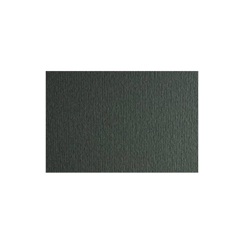 F42450722-CARTULINA 50x70 FABRI. 220g LR FERRO P/2 precio por 1 unidades