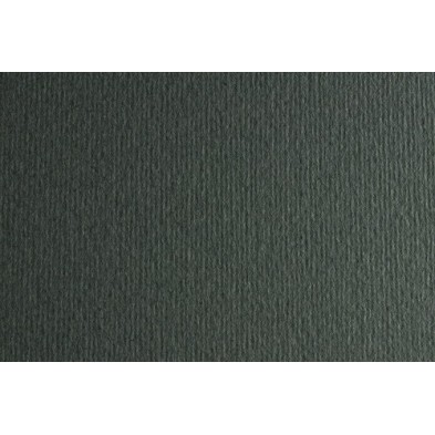 F42450722-CARTULINA 50x70 FABRI. 220g LR FERRO P/2 precio por 1 unidades
