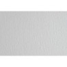 F42450700-CARTULINA 50x70 FABRI. 220g LR BIANC P/2 precio por 1 unidades
