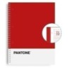 850100200-BLOCK ESCOL.PANTONE A4 BASIC 80h 5x5 RJ precio por 5 unidades