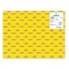 C200403809-CARTULINA FLUOR 50x65 IRIS AMARILLA P/25 precio por 1 unidades