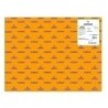 C200403810-CARTULINA FLUOR 50x65 IRIS NARANJA P/25 precio por 1 unidades