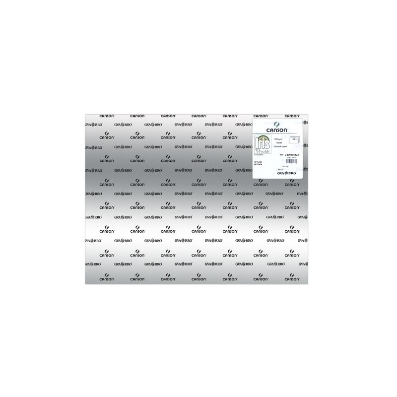 C200005822-CARTULINA METAL.50x65 IRIS PLATA P/25 precio por 1 unidades