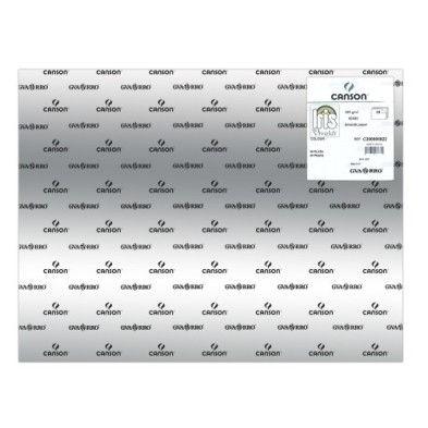 C200005822-CARTULINA METAL.50x65 IRIS PLATA P/25 precio por 1 unidades