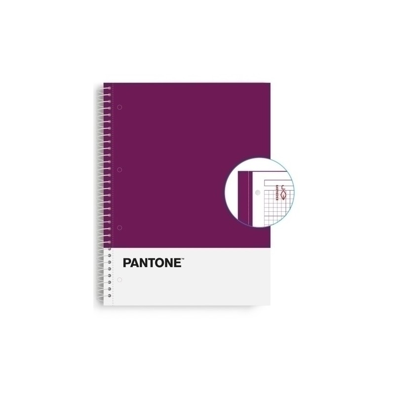 850100600-BLOCK ESCOL.PANTONE A4 BASIC 80h 5x5 VL precio por 5 unidades