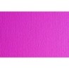 F71014023-CARTULINA A4 SIRIO 250g LR FUCSIA P/50 precio por 1 unidades