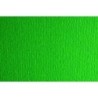 F71014011-CARTULINA A4 SIRIO 250g LR VERDE P/50 precio por 1 unidades