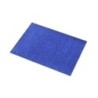 20293-CARTULINA PURPUR.50x65 SADIPAL AZ P/5 precio por 1 unidades