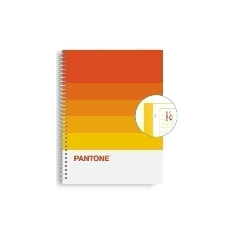 850101200-BLOCK ESCOL.PANTONE A4 SPEAKS 80h 5x5 WR precio por 5 unidades
