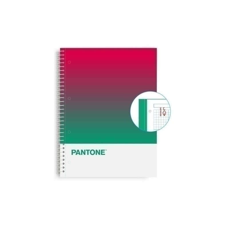 850101900-BLOCK ESCOL.PANTONE A4 TOGET. 80h 5x5 SS precio por 5 unidades