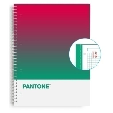 850101900-BLOCK ESCOL.PANTONE A4 TOGET. 80h 5x5 SS precio por 5 unidades