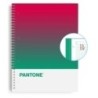 850101900-BLOCK ESCOL.PANTONE A4 TOGET. 80h 5x5 SS precio por 5 unidades