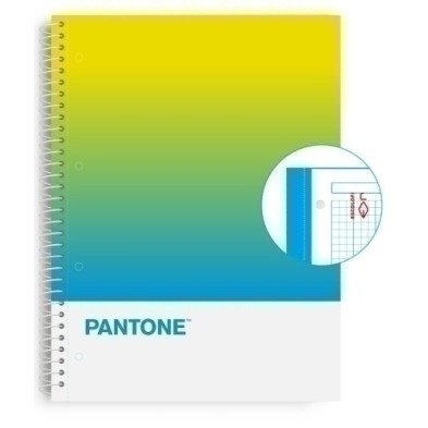 850102000-BLOCK ESCOL.PANTONE A4 TOGET. 80h 5x5 LF precio por 5 unidades