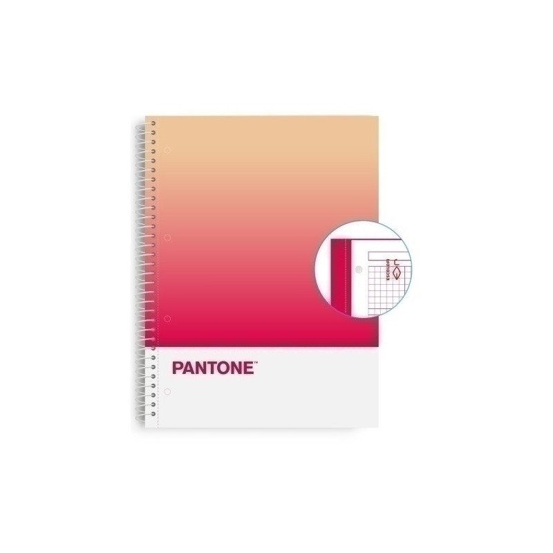 850102100-BLOCK ESCOL.PANTONE A4 TOGET. 80h 5x5 RP precio por 5 unidades
