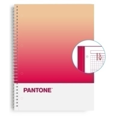 850102100-BLOCK ESCOL.PANTONE A4 TOGET. 80h 5x5 RP precio por 5 unidades
