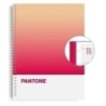 850102100-BLOCK ESCOL.PANTONE A4 TOGET. 80h 5x5 RP precio por 5 unidades
