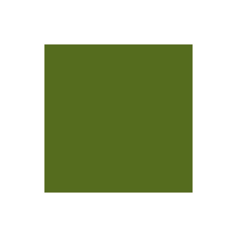 C32127S019-CARTULINA A3 IRIS 185g VERDE SAFARI P/50 precio por 1 unidades