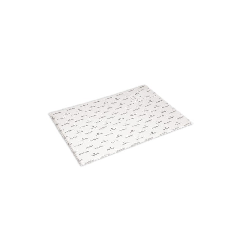 C200408001-LAMINA G-C DIBUJO BASIK 50x70 cm precio por 50 unidades