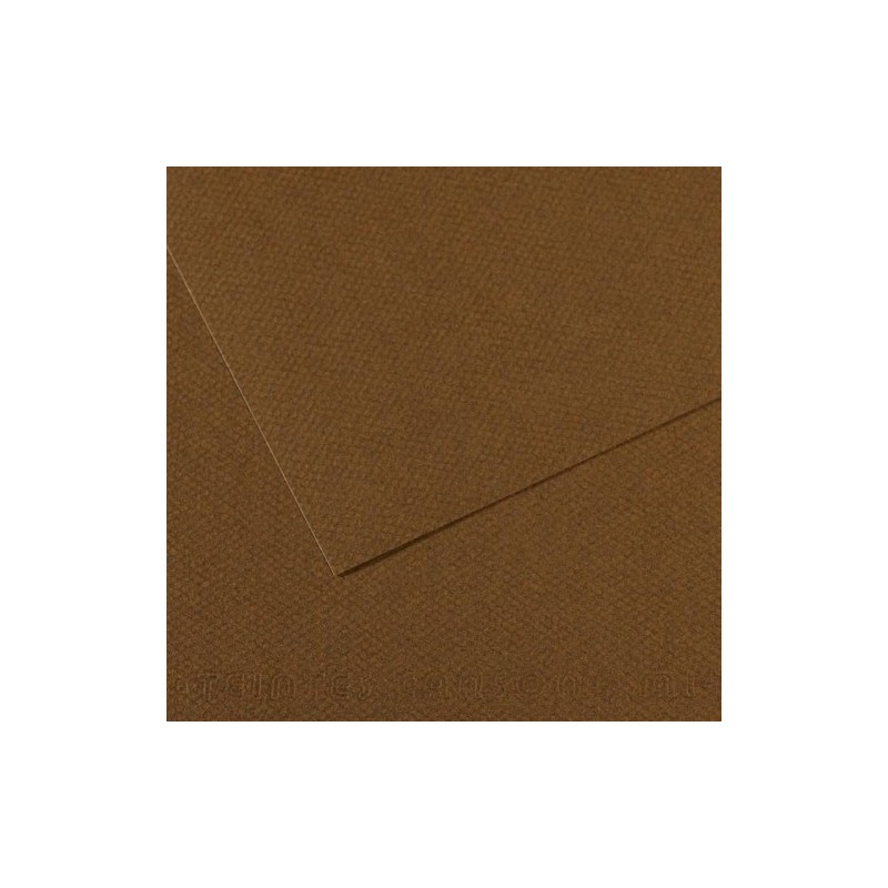 C31033S122-LAMINA MI-TEINTES 50x65 PAQ.10h (501) precio por 1 unidades