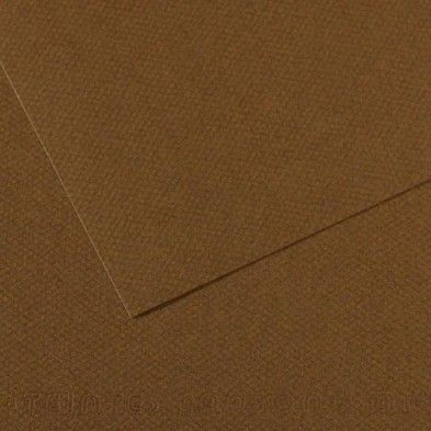 C31033S122-LAMINA MI-TEINTES 50x65 PAQ.10h (501) precio por 1 unidades