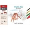 F74113248-LAMINAS DIBUJO FABRIANO A3+ C/R B/10 precio por 10 unidades