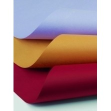 10821-PAPEL EMB.KRAFT...