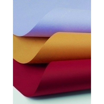 10821-PAPEL EMB.KRAFT SADIP.FUSION 1x50 LILA precio por 1 unidades