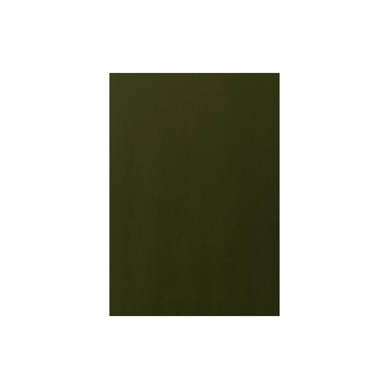 BKC07041001418-PAPEL REGALO BOBINA TV 70x100 KRAFT VERD precio por 1 unidades