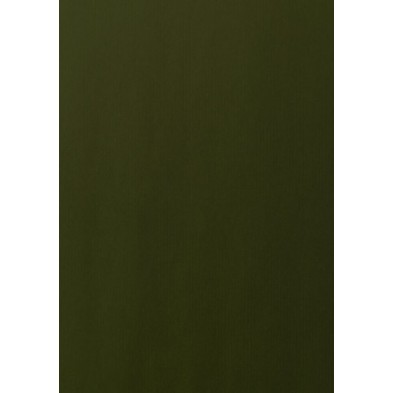 BKC07041001418-PAPEL REGALO BOBINA TV 70x100 KRAFT VERD precio por 1 unidades