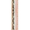212907C-PAP.REGALO RL.CLAIREF.0.7x2 PRIMEROSE precio por 1 unidades
