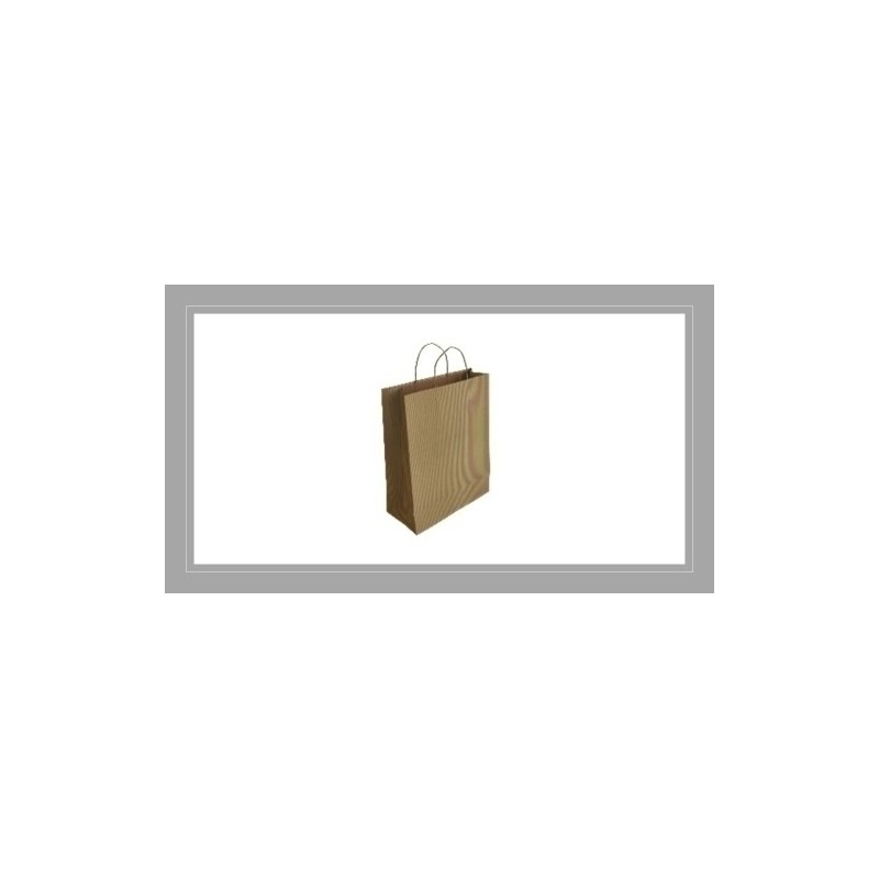 02005030-BOLSA PAPEL KRAFT VERJU. 18x24 RECI P/50 precio por 1 unidades