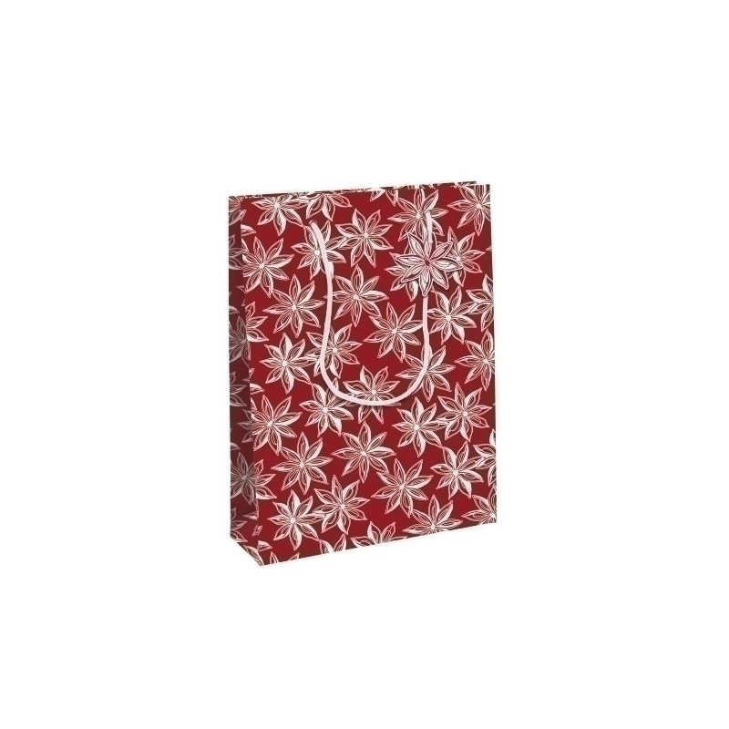 X-32781-2C-BOLSA PAPEL KRAFT  33x26 CITRICOS P/6 precio por 1 unidades