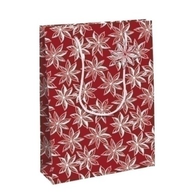 X-32781-2C-BOLSA PAPEL KRAFT  33x26 CITRICOS P/6 precio por 1 unidades