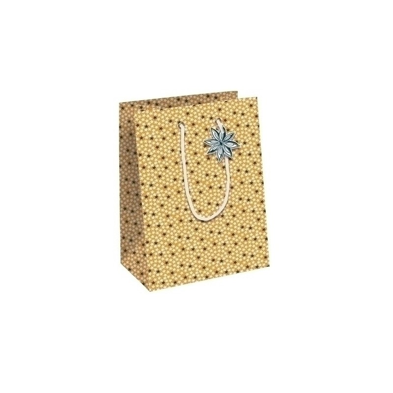 X-32784-3C-BOLSA PAPEL KRAFT  25x22 CITRICOS P/6 precio por 1 unidades