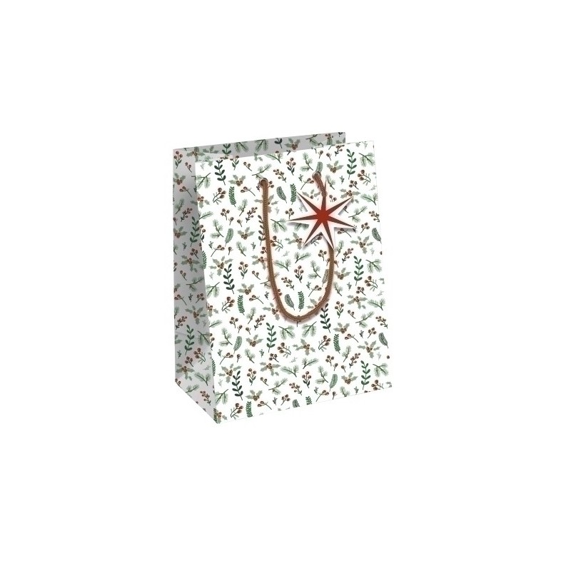 X-32820-3C-BOLSA PAPEL KRAFT  25x22 COSI NAV. P/6 precio por 1 unidades