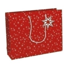 X-32814-6C-BOLSA PAPEL...