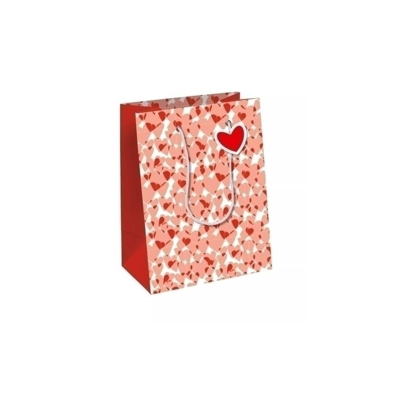 33841-3C-BOLSA PAPEL EXCELLIA 25x22 AMOR P/6 precio por 1 unidades