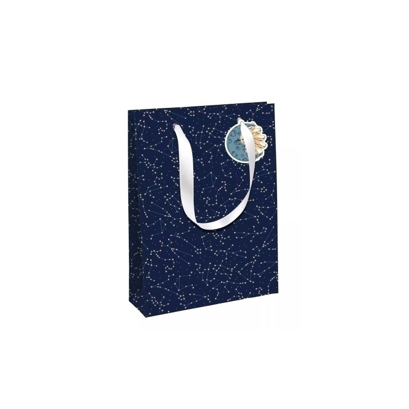 33862-2C-BOLSA PAPEL EXCELLIA 33x27 ASTRAL P/6 precio por 1 unidades