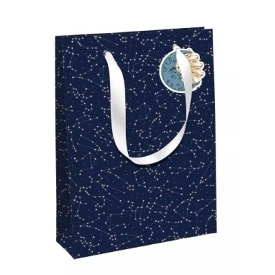 33862-2C-BOLSA PAPEL EXCELLIA 33x27 ASTRAL P/6 precio por 1 unidades