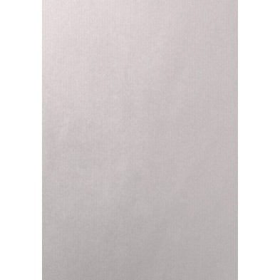 AC321241001301-BOLSA PAPEL TV CEL. 32x41 PLATA P/25 precio por 1 unidades