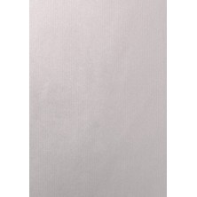 AC401545001301-BOLSA PAPEL...