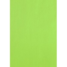 AC401545001314-BOLSA PAPEL...