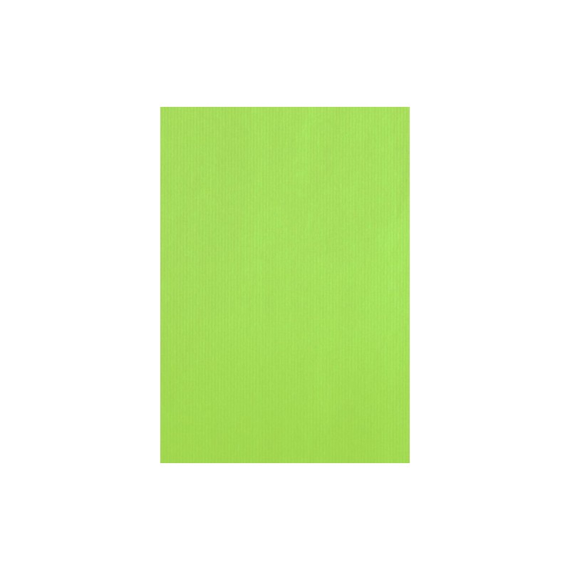 AC401545001314-BOLSA PAPEL TV CEL. 40x45 PISTACHO P/25 precio por 1 unidades