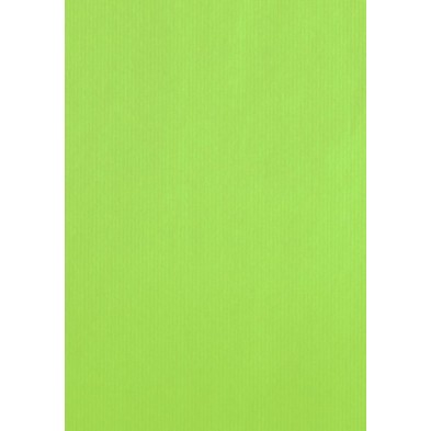 AC401545001314-BOLSA PAPEL TV CEL. 40x45 PISTACHO P/25 precio por 1 unidades