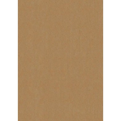 AK140936001400-BOLSA PAPEL TV KRAFT 14x9 KRAFT P/25 precio por 1 unidades