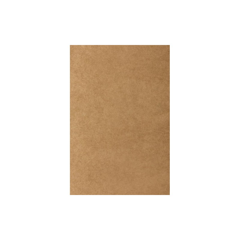 AR181023001R00-BOLSA PAPEL TV KRAFT 18x23 KRAFT P/25 precio por 1 unidades