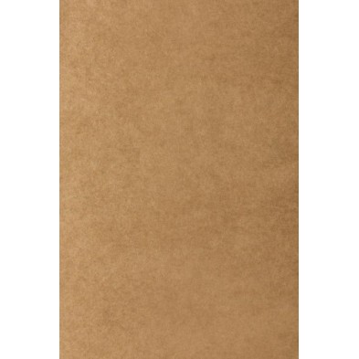 AR271828001R00-BOLSA PAPEL TV KRAFT 27x28 KRAFT P/25 precio por 1 unidades